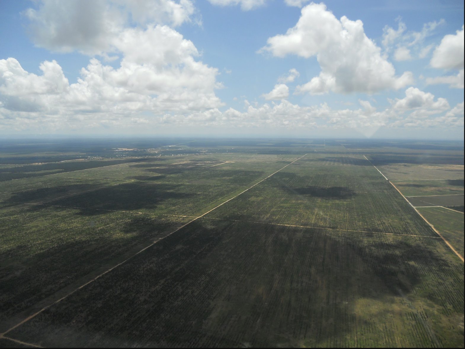 Vista aérea de la Faja Petrolífera del Orinoco, bloque Carabobo